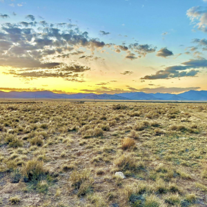 1.25 Acre Corner Lot in Beryl, Utah (Buy 1-11 lots)