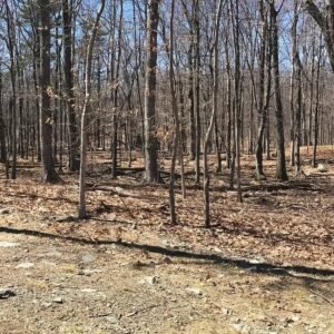 Amazing Wooded Lot in Horseshoe Bend, Arkansas