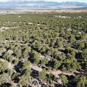 2.36 Acres in Rio Cucharas, Walsenburg, CO
