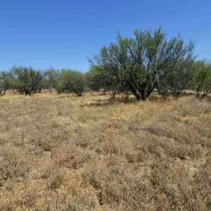 Residential Lot for Sale in Cordes Lakes, Mayer, Arizona