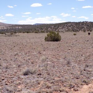 1 Acre Near Concho, Arizona. Easy Access. No HOA.
