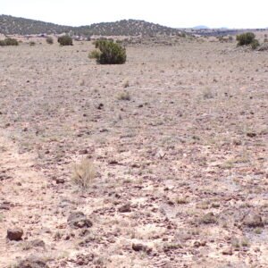 1 Acre Near Concho, Arizona. Easy Access. No HOA.